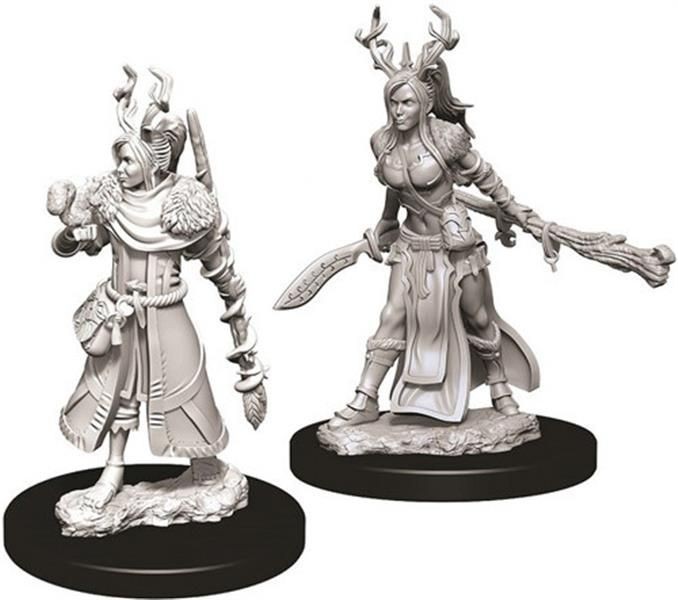 D&D Marvelous Minis: Female Human Druid