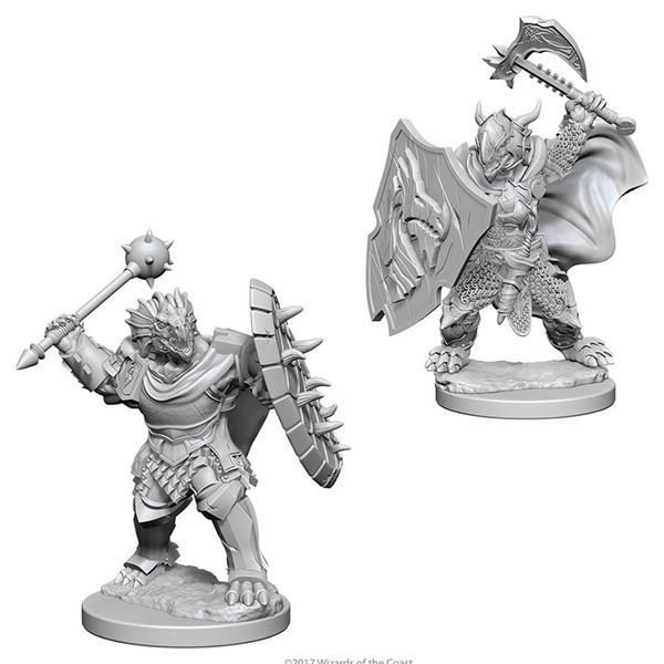 D&D Marvelous Minis: Dragonborn Male Paladin