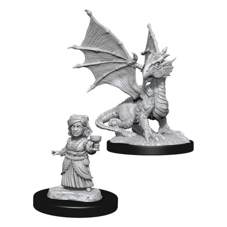 D&D Marvelous Minis: Silver Dragon Wyrmling & Female Halfli.