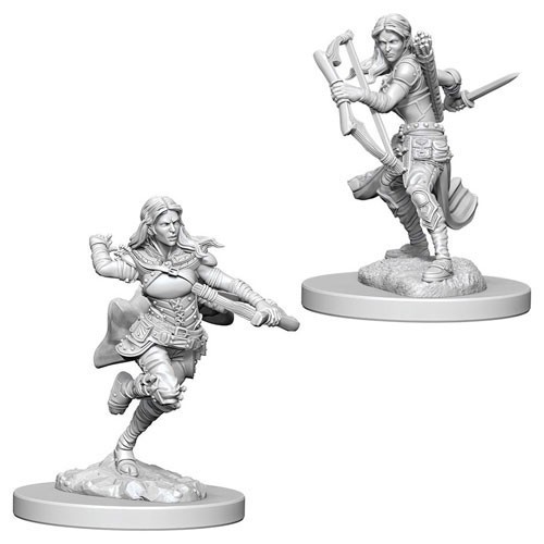 D&D Marvelous Minis: Air Genasi Female Rogue