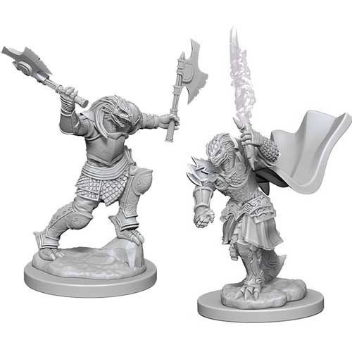 D&D Marvelous Minis: Dragonborn Female Fighter