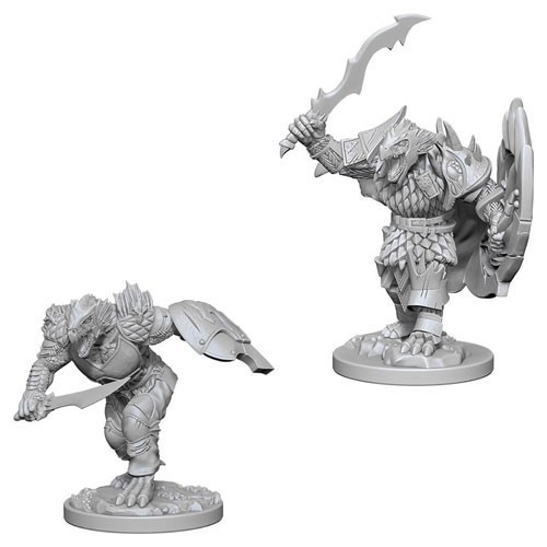 D&D Marvelous Minis: Dragonborn Male Fighter