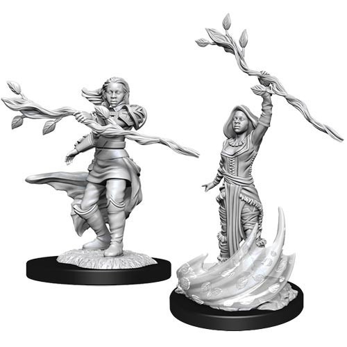 D&D Marvelous Minis: Human Druid Female