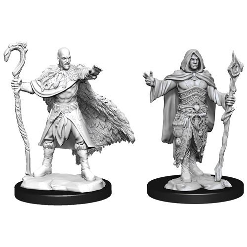 D&D Marvelous Minis: Human Druid Male