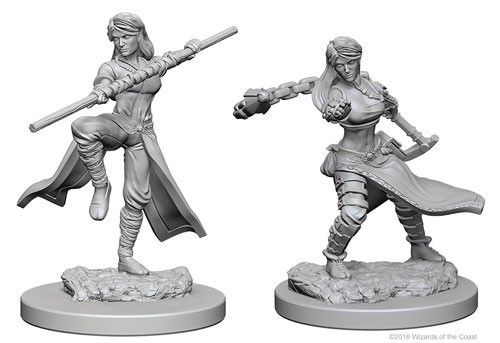 D&D Marvelous Minis: Human Female Monk