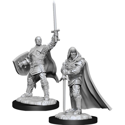 D&D Marvelous Minis: Human Paladin Male