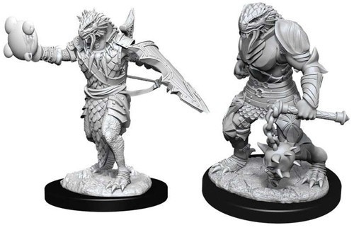 D&D Marvelous Minis: Male Dragonborn Paladin