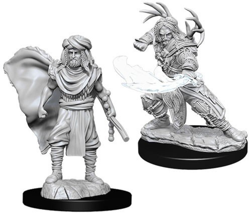 D&D Marvelous Minis: Male Human Druid