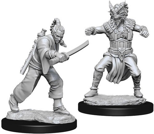 D&D Marvelous Minis: Male Human Monk